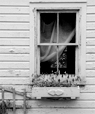 Two Windows